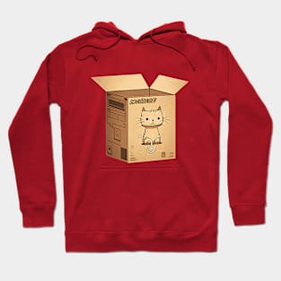 What's in the box??? Hoodie